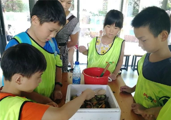 图片点击可在新窗口打开查看